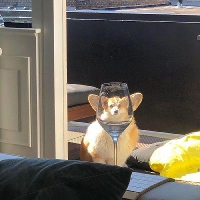 要开心 要快乐 你是大哥 不许难过