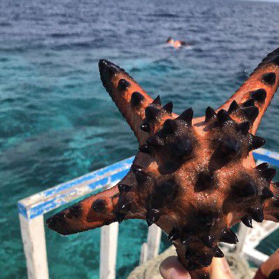 Love Again 夏花插曲