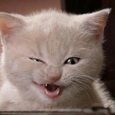 EMOWZ - 消失在記憶裡的海 (純音樂)