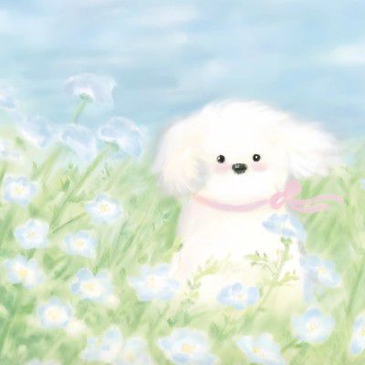 炸火花💥破🎆  子期专属充电提示音