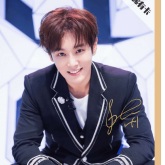 SWIN - 只因你太美