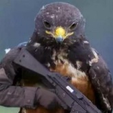 雷敏敏 - 嘎嘎-jues