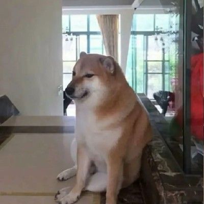 王心凌《爱你》 奥特鬼畜版