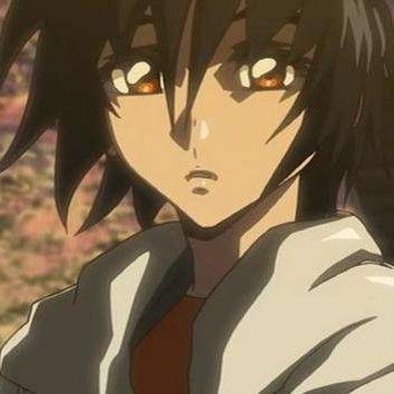 《闪光的哈萨维》（某鬼畜视频背景歌）