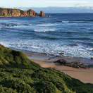 铃声 - 羊叫声 (铃声)