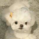 Ailee - Heaven (Original Version)