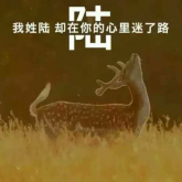 张韶涵 - 无名的人