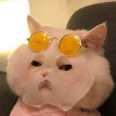 温迪充电提示音（完成充电）