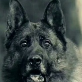 拾柒兄弟 - 人生终有出头日