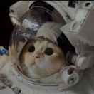 泽毅鬼畜滑板鞋