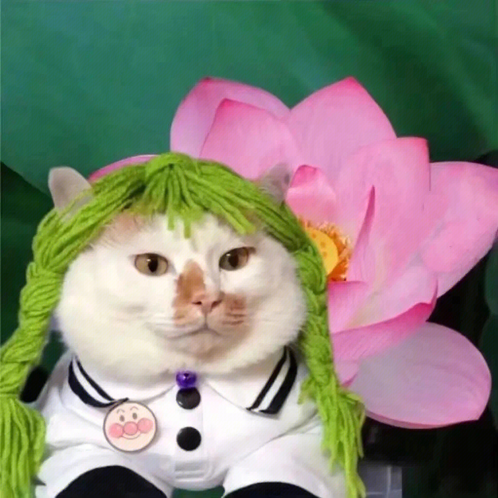 应急食品派蒙充电音