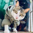 Dancing with my phone-HYBS