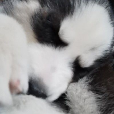 我妈是世界上最好的妈-A@筱妖精乄