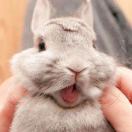 西瓜冬瓜哈密瓜啊不爱我你是傻瓜