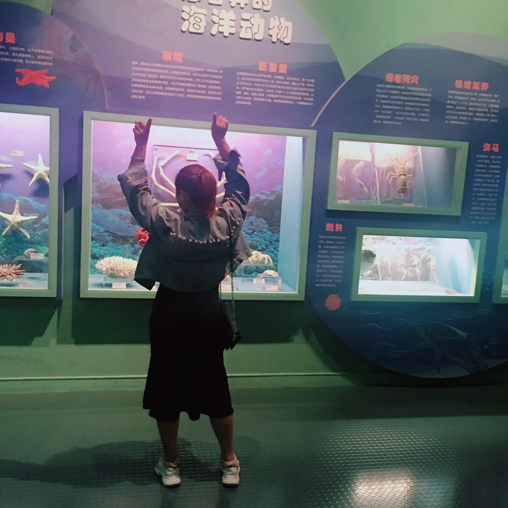 愿为你跪六千年 (DJ何鹏版)-🌸兰儿菇凉🌸