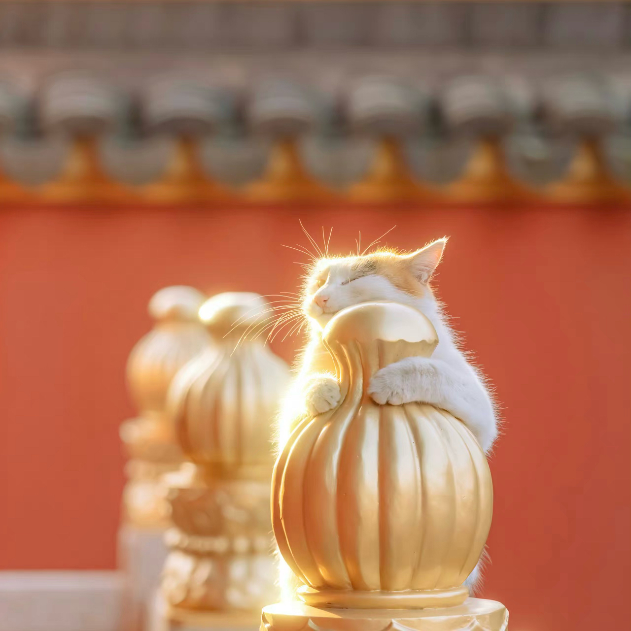 《请回答1988》主题曲《你不要担心》-_iiiuuu