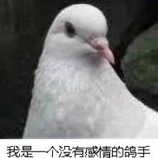 ホタルノヒカリ (螢之光)-いきものがかり (生物股長)-ringtone