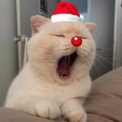 喜洋洋与灰太狼短信