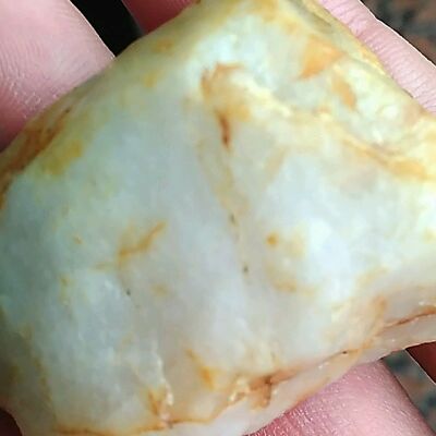 young for you--阿三！